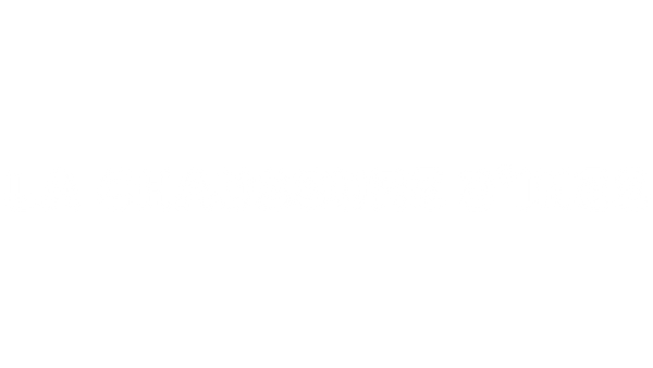 La chaussure d'Ines